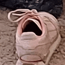 a close up of a person 's shoe with its mouth open .