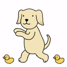 animal dog puppy cute dance