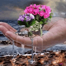 Water Flowers GIF - Water Flowers GIFs