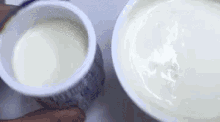 ヨーグルト　ランチ　スナック　乳製品 GIF - Yogurt Snack Dairy GIFs