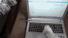 Kratu Laptop GIF - Kratu Laptop Typing GIFs