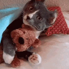 Gatinho Com Preguiça / Que Preguicinha / Gato / Bichinho De Pelúcia GIF - Cat Cuddle Hugging GIFs