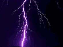 Warwick Lightning GIF