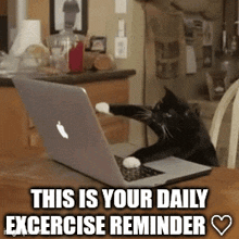 a cat is sitting in front of a laptop with the words this is your daily excercise reminder