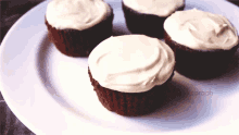 red velvet red velvet cupcakes frosting icing decorating cupcake