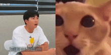 a man is sitting at a table next to a cat with a surprised look on his face .