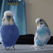 Animated Love Birds GIFs | Tenor