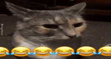 a cat with tears coming out of its eyes is surrounded by laughing emoticons