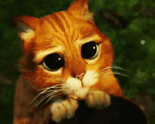 Puss In Boots Puppy Eyes GIF - Puss In Boots Puppy Eyes Cat GIFs