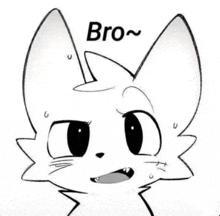 a black and white drawing of a cat with the words `` bro '' written above it .
