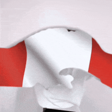 a red white and blue flag is being ripped apart