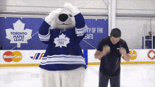 Nhl National Hockey League GIF - Nhl National Hockey League Toronto Maple Leafs GIFs