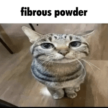 Fibrous Powder GIF - Fibrous Powder Edible GIFs