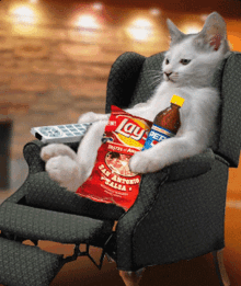 Laid Back Cat GIF - Laid Back Cat Relaxing GIFs