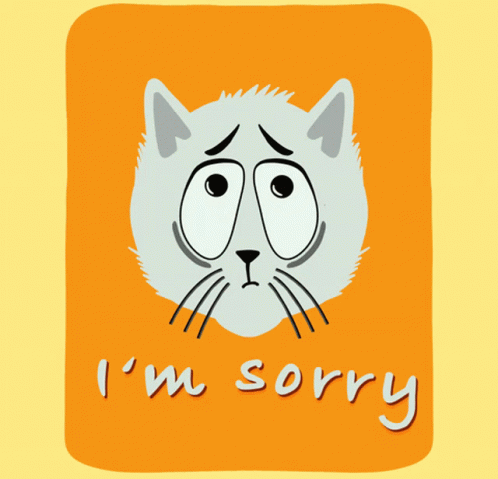 im sorry cat
