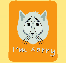 Cat Sorry GIF - Cat Sorry Im Sorry GIFs