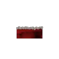a row of teeth on a red background with a white border