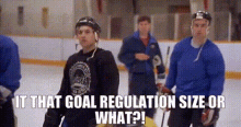 Goal Regulationsize GIF - Goal Regulationsize Hockey GIFs
