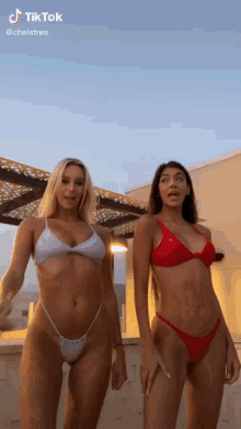 two women in bikinis are dancing together on a rooftop .
