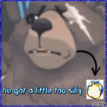 a picture of a bear with the words he got a little too silly on it