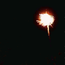 fireworks lights show