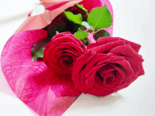 Roses Red GIF - Roses Red Redroses GIFs