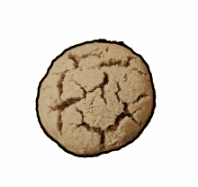 moroccanfood cookies