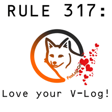 a poster that says rule 317 love your v-log on it