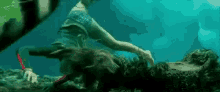 Blake Lively Underwater GIF - Blake Lively Underwater GIFs