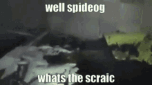 Koma Cribs Waterford Well Spideog Whats The Scraic GIF - Koma Cribs Waterford Well Spideog Whats The Scraic Spideog GIFs