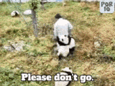 Panda Please Don'T Go GIF - Panda Please Don'T Go Stay Here GIFs