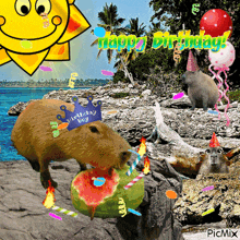 Happy Birthday Capybara GIF - Happy Birthday Capybara GIFs