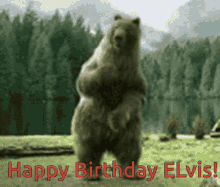 Happy Birthday Elvis Dance GIF - Happy Birthday Elvis Dance Bear GIFs