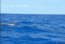 a hand is pointing at something in the water