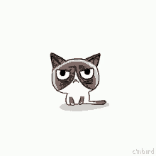Grumpy Cat Too Cute GIF - Grumpy Cat Too Cute Go Back GIFs