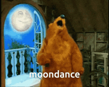 Moondance Bear GIF - Moondance Bear GIFs