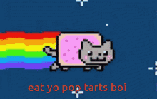 rainbow cat eat your pop tarts boy pop tarts