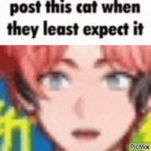 a close up of a person 's face with the words `` post this cat when they least expect it '' written on it .