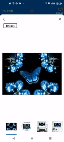Butterfly Images GIF
