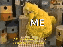 big bird from sesame street is sitting at a table with a bowl of food and says one of these things is not like the other .