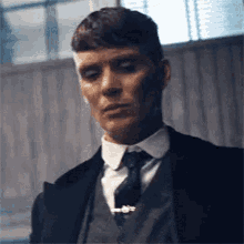 Shelby2 GIF - Shelby2 GIFs