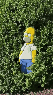 Homer Bush GIF