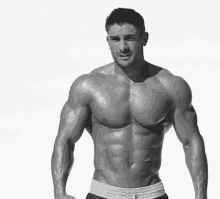English Bodybuilders Fitness GIF - English Bodybuilders Fitness Fit GIFs