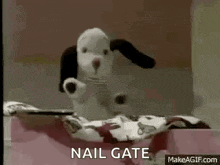 a dog is laying on a bed with the words `` nail gate '' written on the bottom .