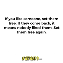 if you like someone , set them free . if they come back , it means nobody liked them .