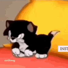 GIF