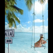 a dog is sitting on a swing at the beach next to a sign that says ata