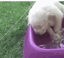 Thirsty Struggle GIF - Thirsty Struggle Passed Out GIFs