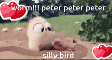 Peter Angry Birds GIF - Peter Angry Birds Baby GIFs