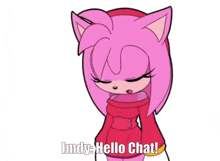 a cartoon of amy from sonic the hedgehog says " imdy hello chat "